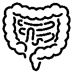 gastroenterology